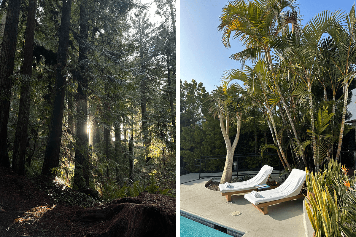 Dispatch from the Cali Coast: Laguna, Arcata & San Francisco